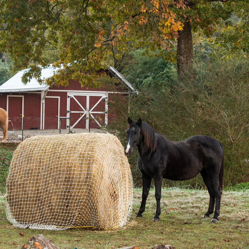 How Much Hay Can I Save?