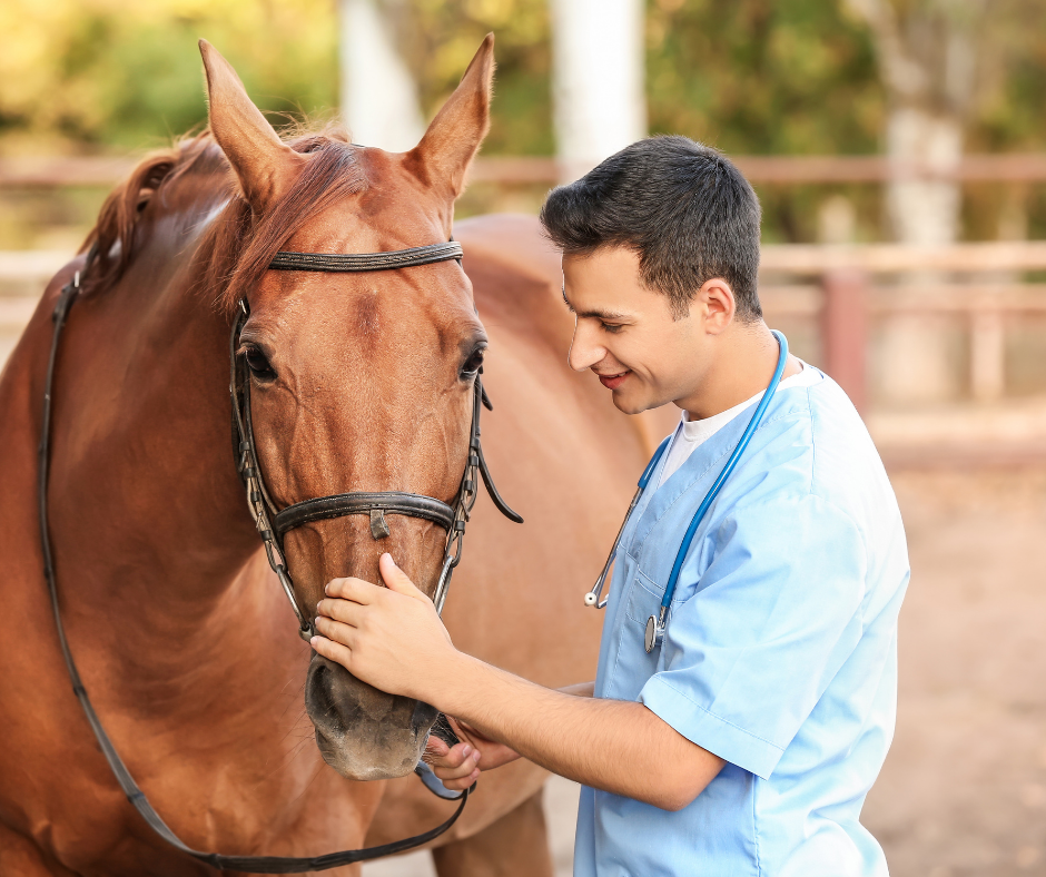 What Vaccines Does My Horse Need?