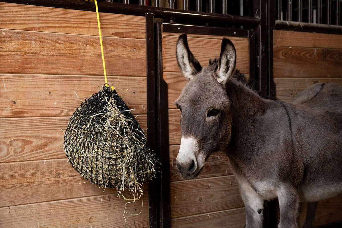 Small Hay Nets Bale Nets for Small Livestock Texas