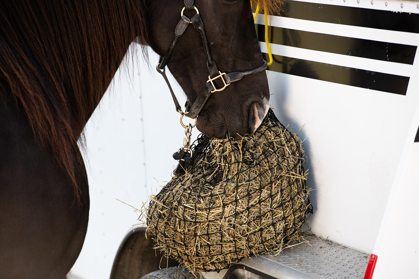 Empty Hay Net Slow Feed Hay Nets | Durable Small Hay Nets – Texas Haynet