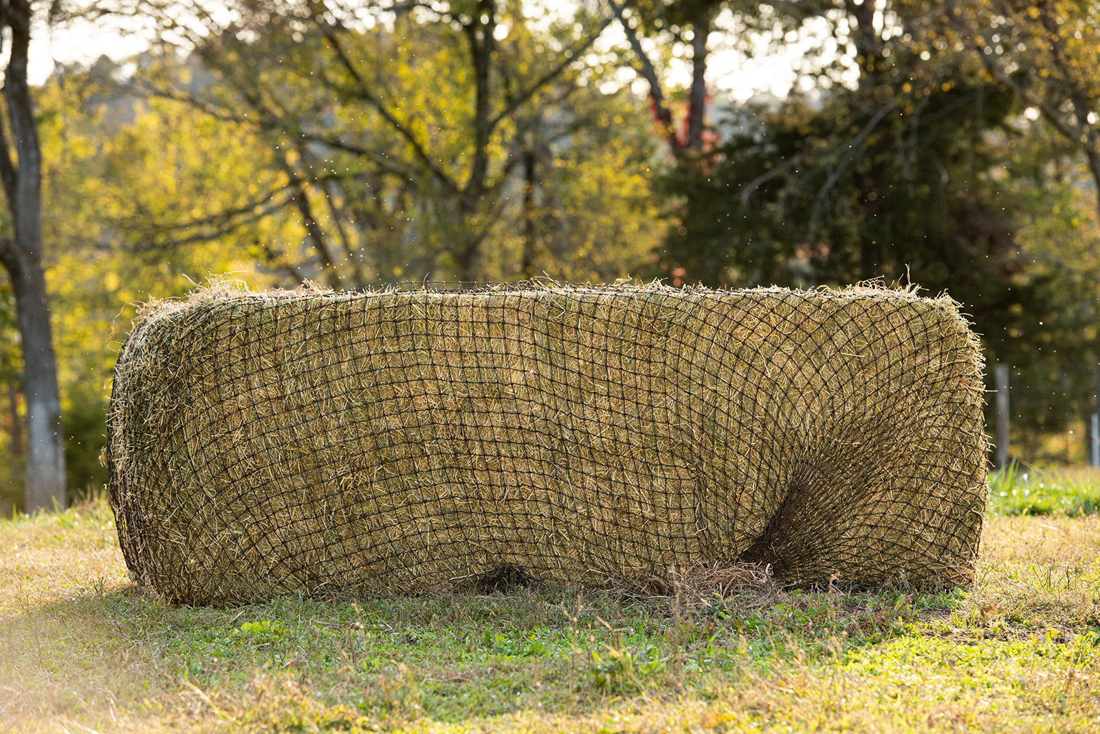Hay Net Large Square Bale Hay Net | Slow Hay Feeder | Texas Hay Net – Texas Haynet